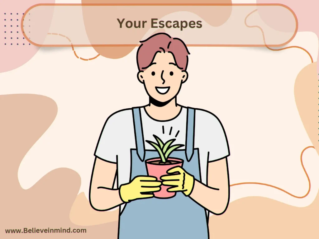 Your Escapes
