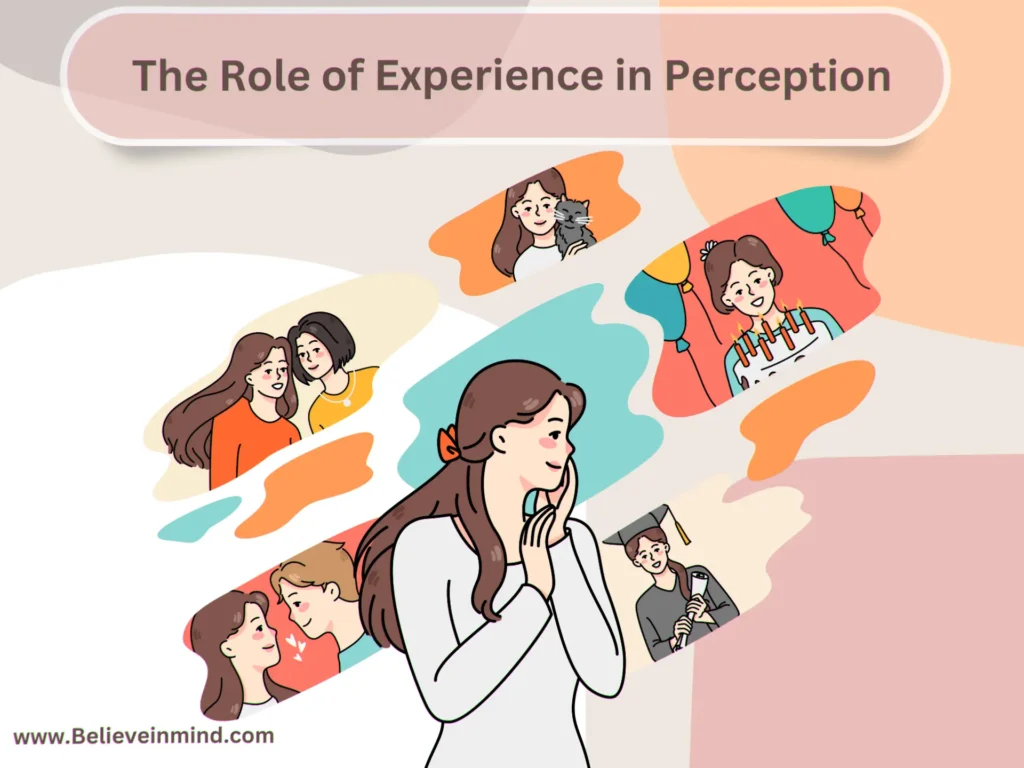 The Role of Experience in Perception
