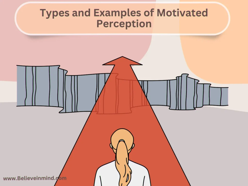 Types and Examples of Motivated Perception