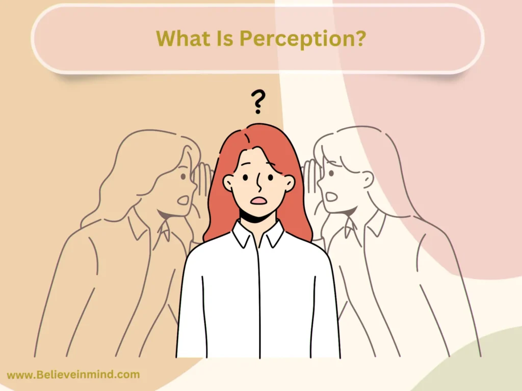 What Is Perception